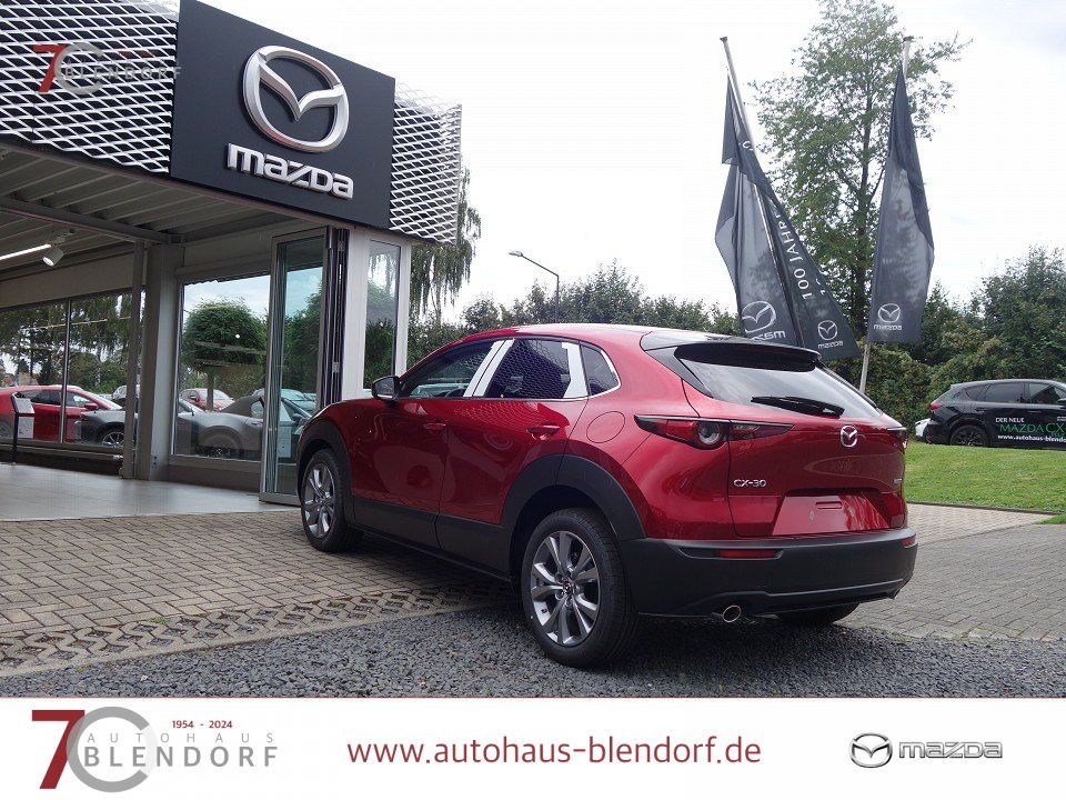 Mazda CX-30 Exclusive-Line 186 Automatik 2025|Navi|Mat
