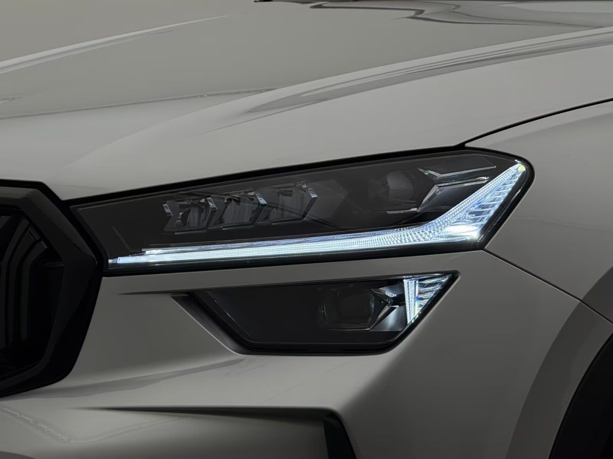Skoda Kodiaq 2.0 TDI 4x4 Sportline +STDHZ+360+20"+AHK+