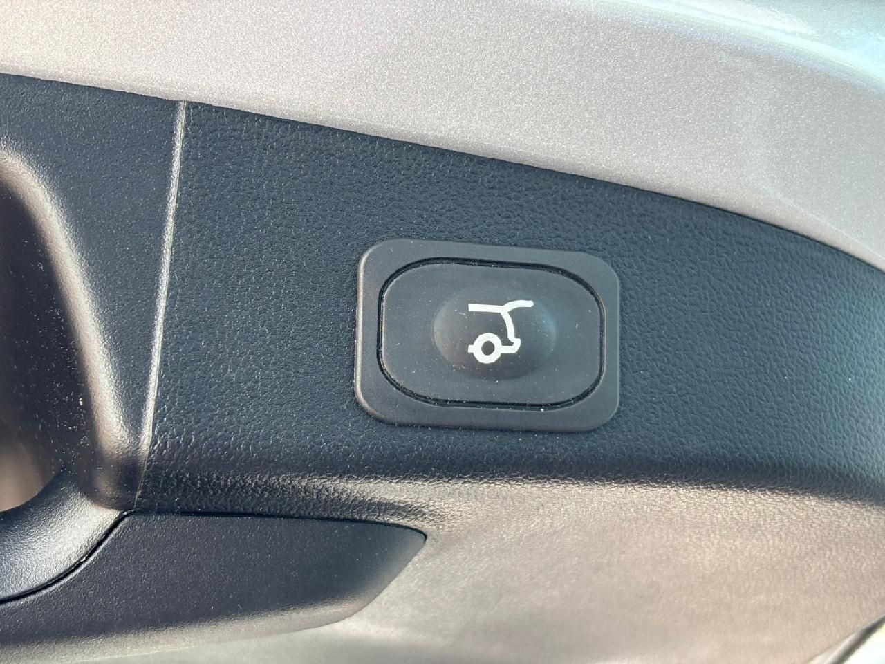 Ford Focus Turnier ST-Line X | ACC | Allwetter | Wint