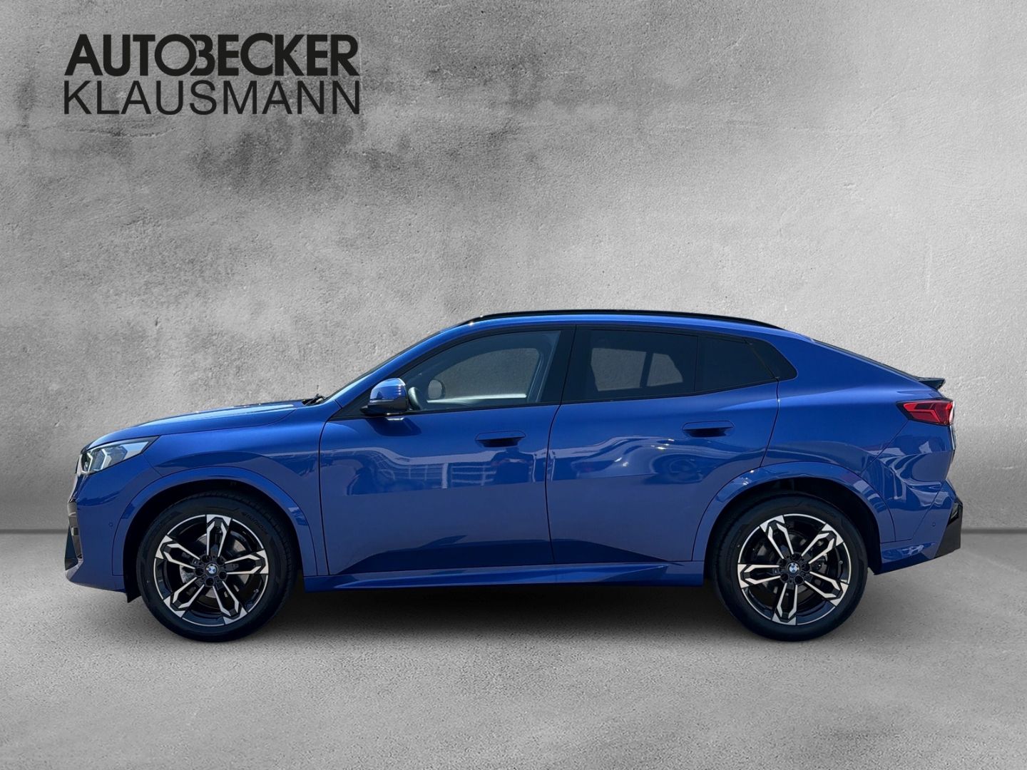 BMW X2 xDrive20d M SPORT 19''LC PROF HuD AHK ACC 360