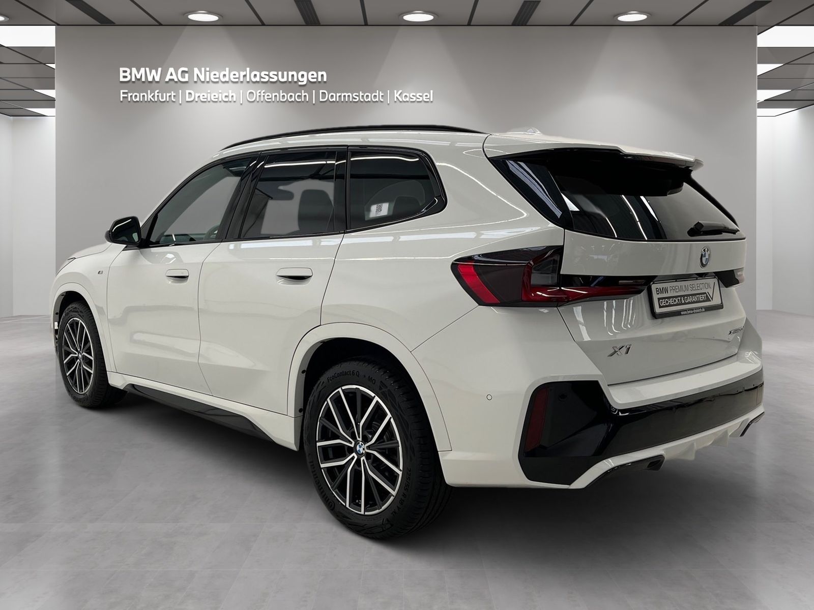 BMW X1 xDrive20d M Sport AHK Driv.Assist+ Harman/K