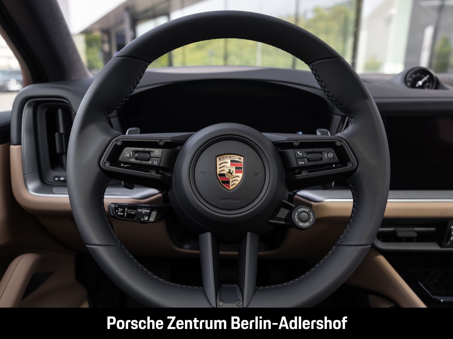 Porsche Cayenne E-Hybrid BOSE Sportabgasanlage Panorama