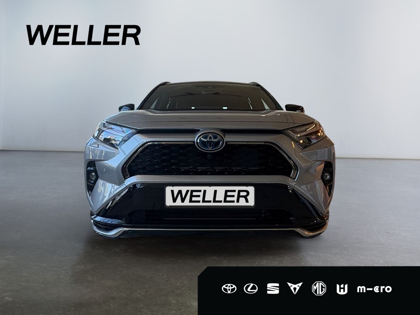 Toyota RAV 4 Plug-in-Hybrid Style 8 Fach bereift