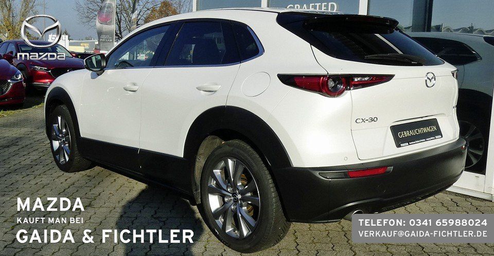 Mazda CX-30 e-SKYACTIV G 140 PS Automatik Takumi Leder