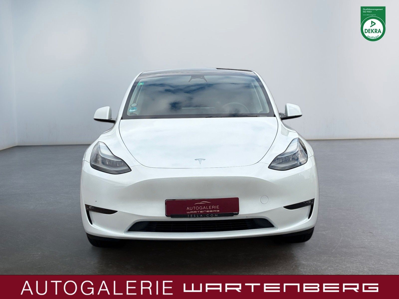 Tesla Model Y Long Range Dual AWD//AHK//ALLWETTER