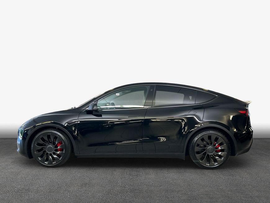 Tesla Model Y Performance Dual Motor AWD Skyview