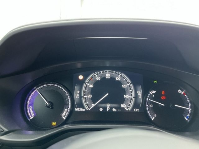 Mazda MX-30 EV Makoto Industial Premium-Paket