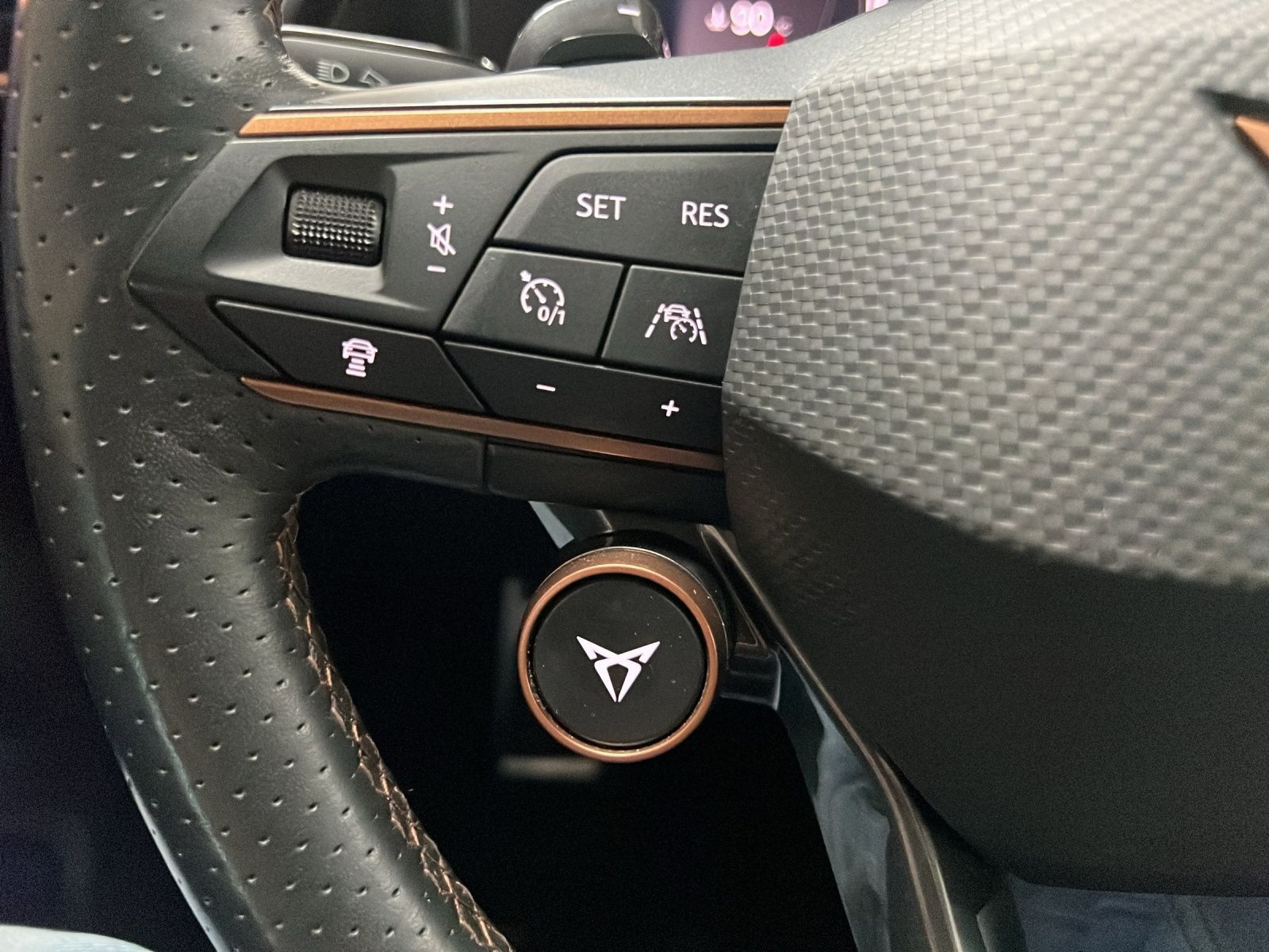 Cupra Formentor VZ 4D AHK Pano LED LM 19" Navi RFK ACC