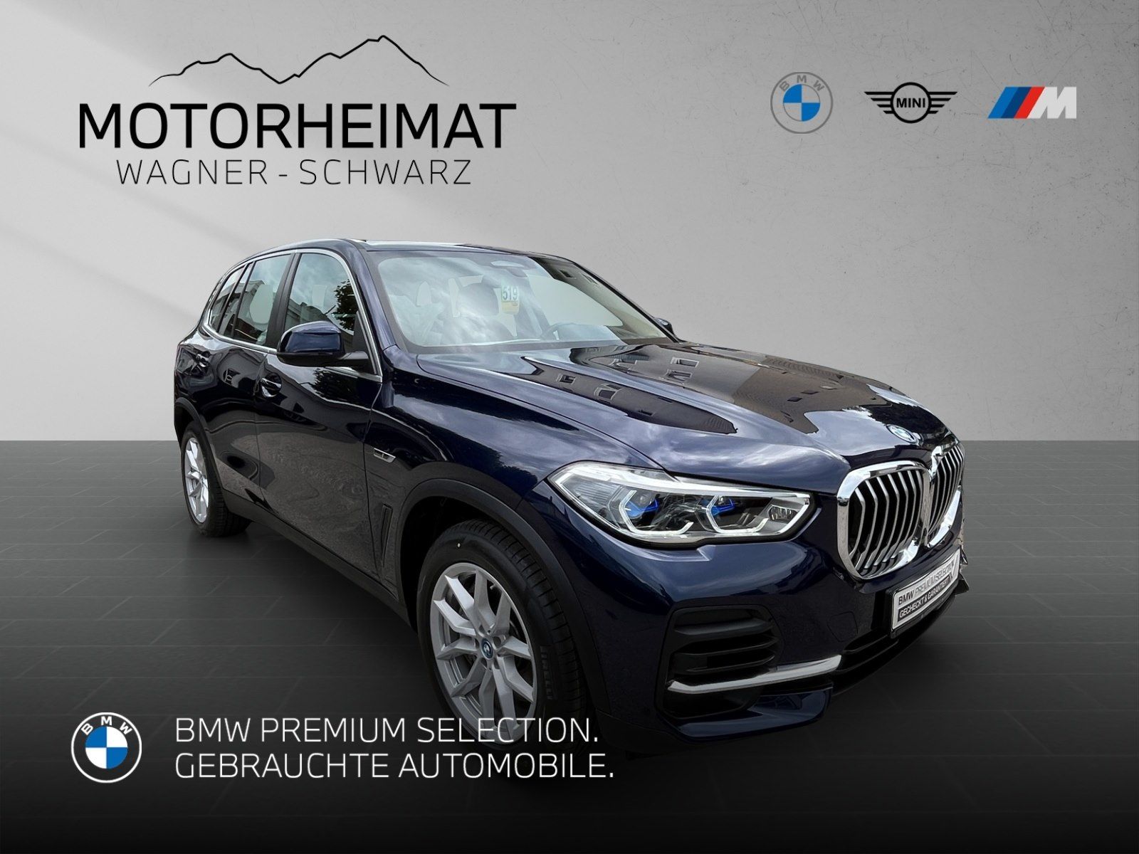 BMW X5 xDrive45e Individual ACC HUD 360° Laser