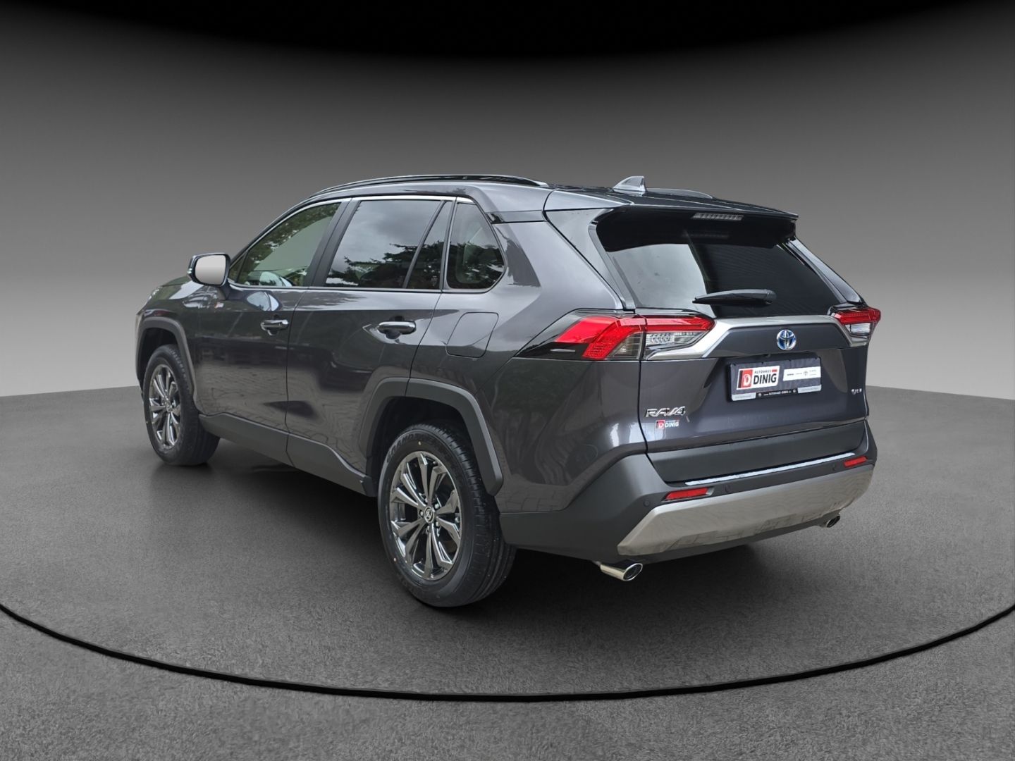 Toyota RAV 4 Hybrid 4x2 Team Deutschland Technik P. Nav