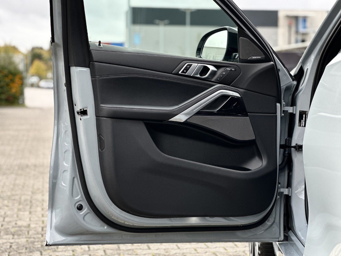 BMW X6 xDrive30d M Sport Sportpaket Gestiksteuerung
