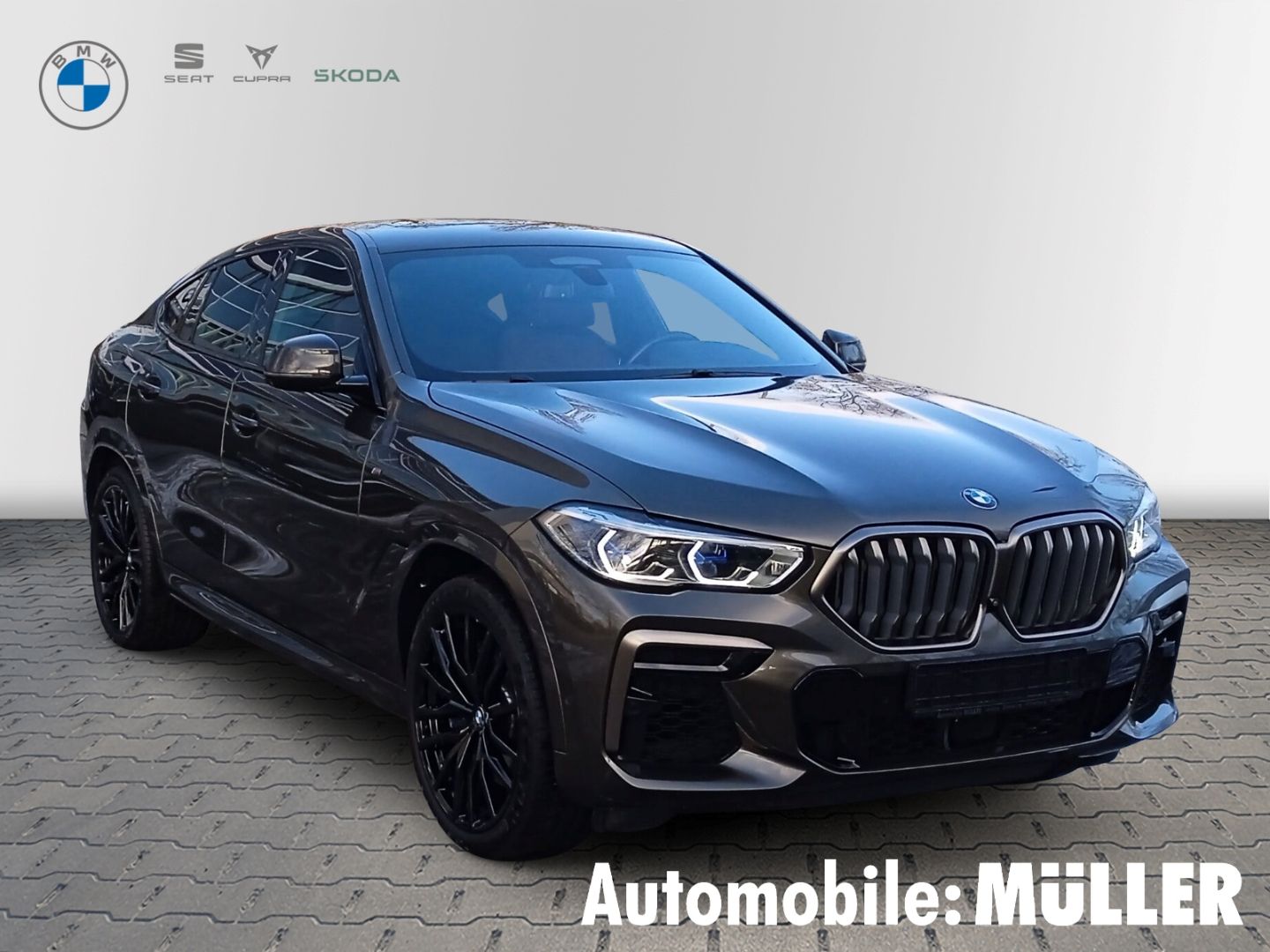 BMW X6 M50i Laserlicht HUD StandHZG AHK-klappbar TV