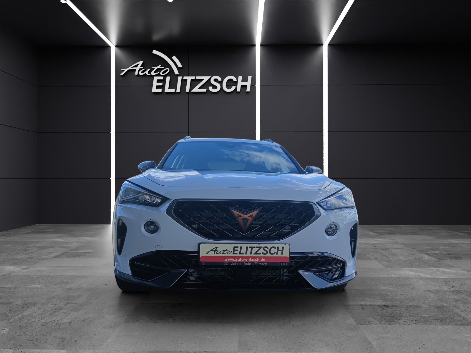 Cupra Formentor VZ DSG 4Drive LED AHK Navi Pano ACC RF