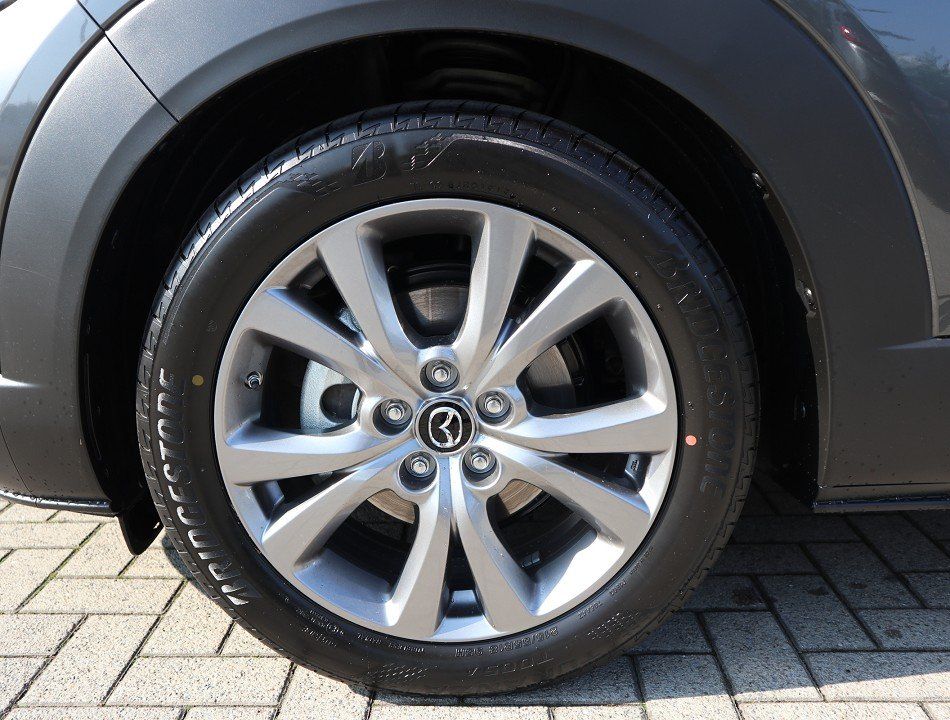 Mazda CX-30 M-Hybrid Takumi G-140 AT LEDER-S Allwetter