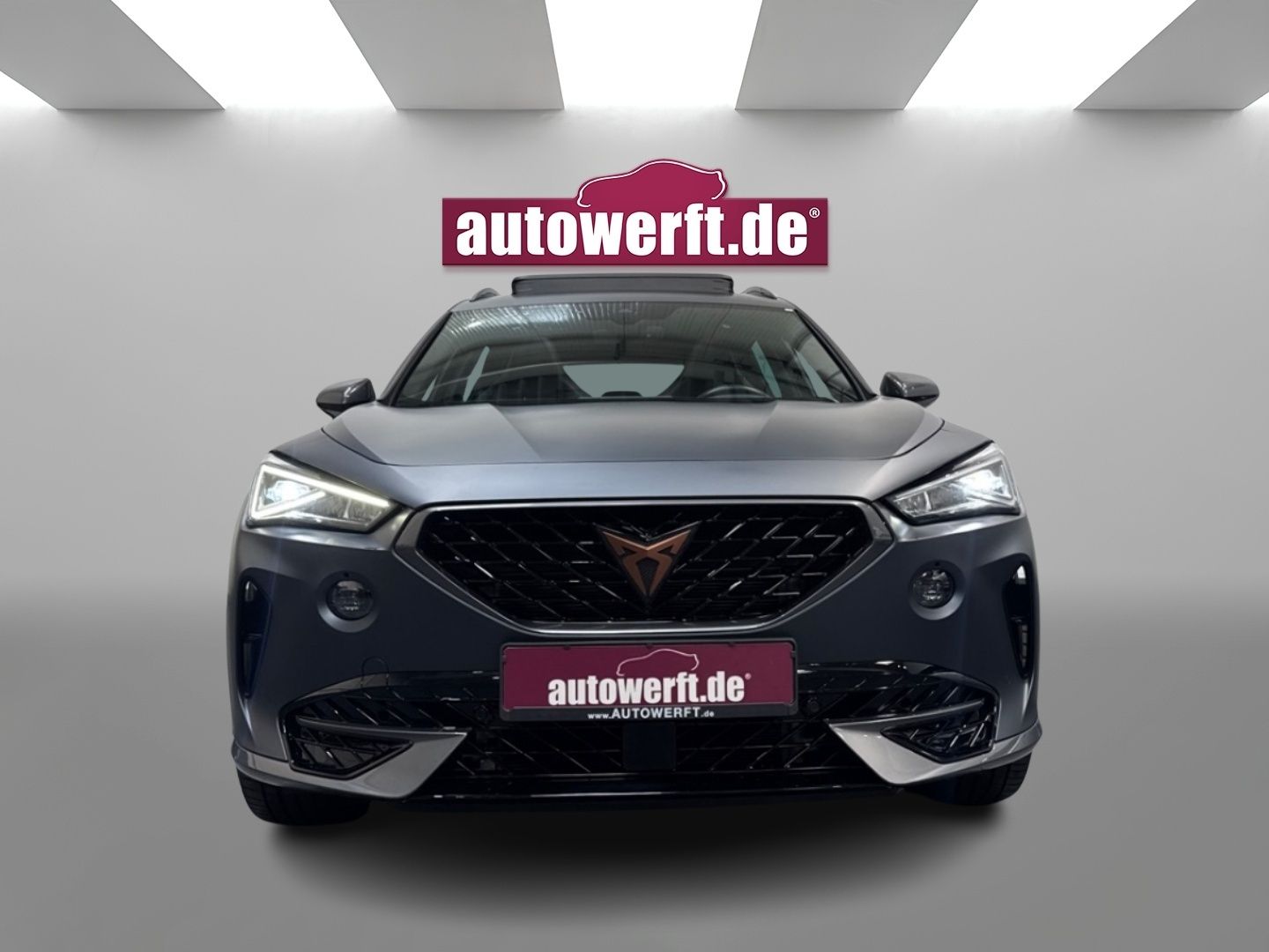 Cupra Formentor 2.0 TSI VZ MATT PANO AHK CAM BEATS 5J.