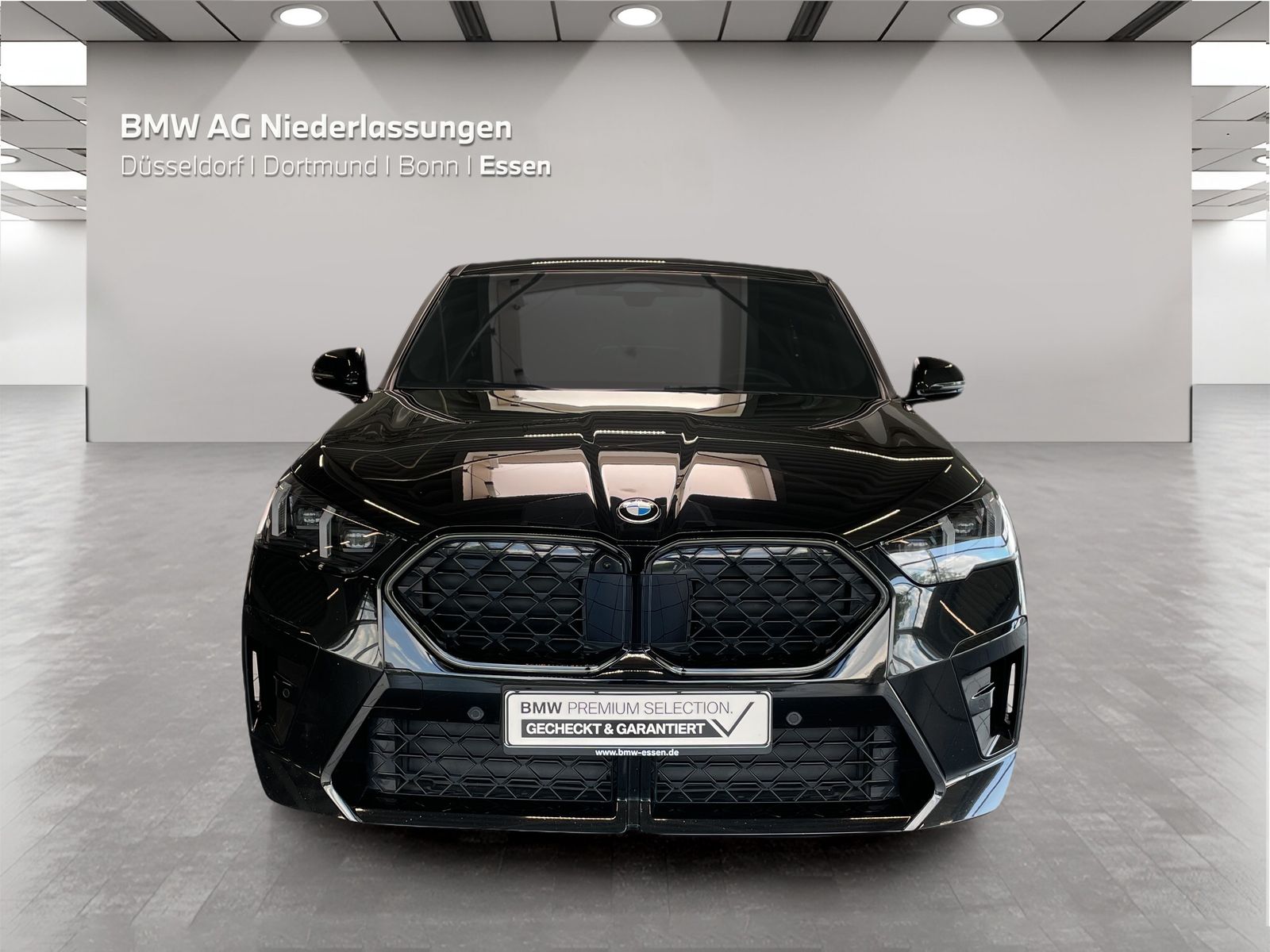 BMW X2 xDrive20d M Sport AHK Driv.Assist+ Harman/K