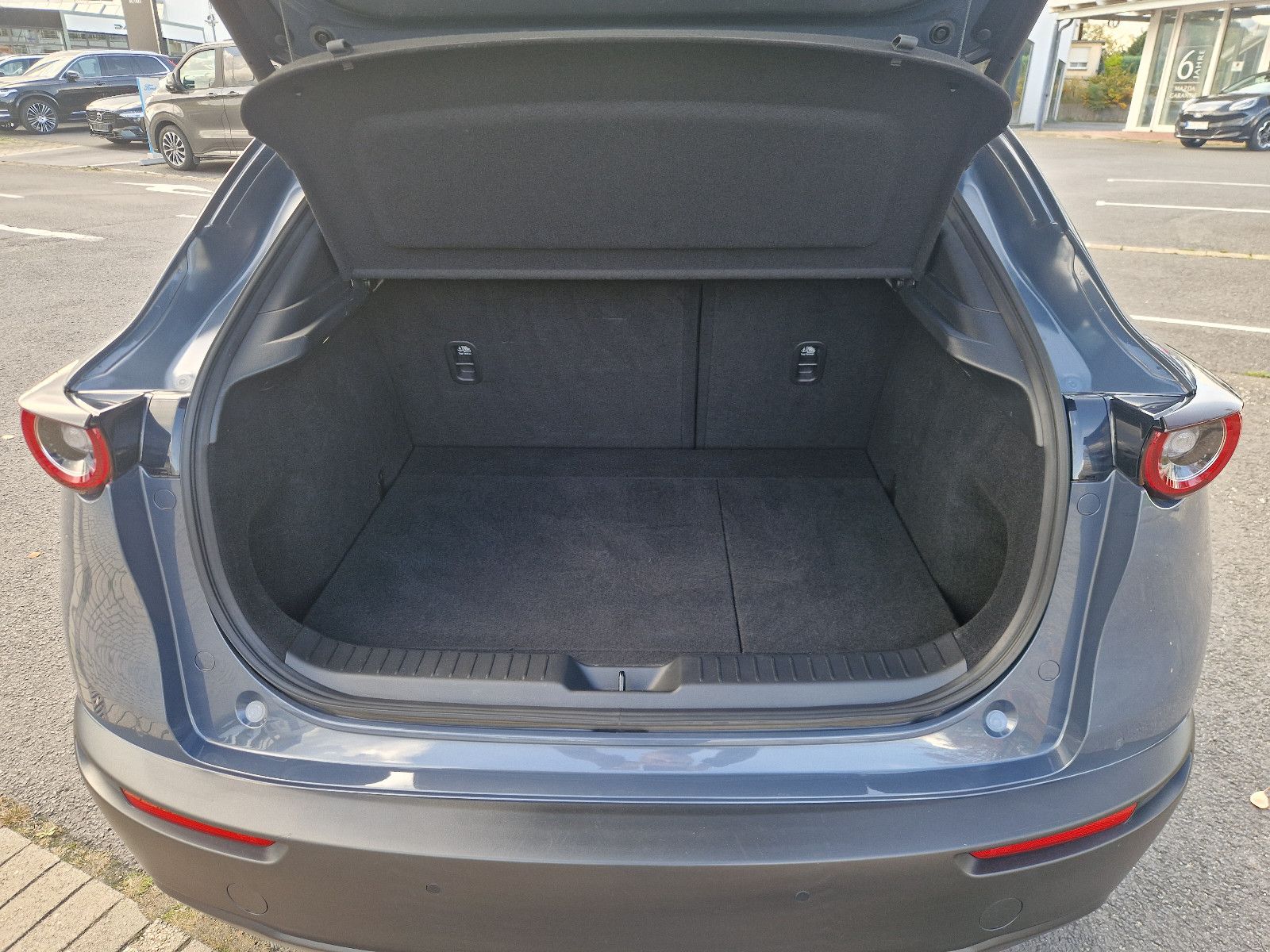 Mazda CX-30 Selection AWD*Design & Premium Paket*