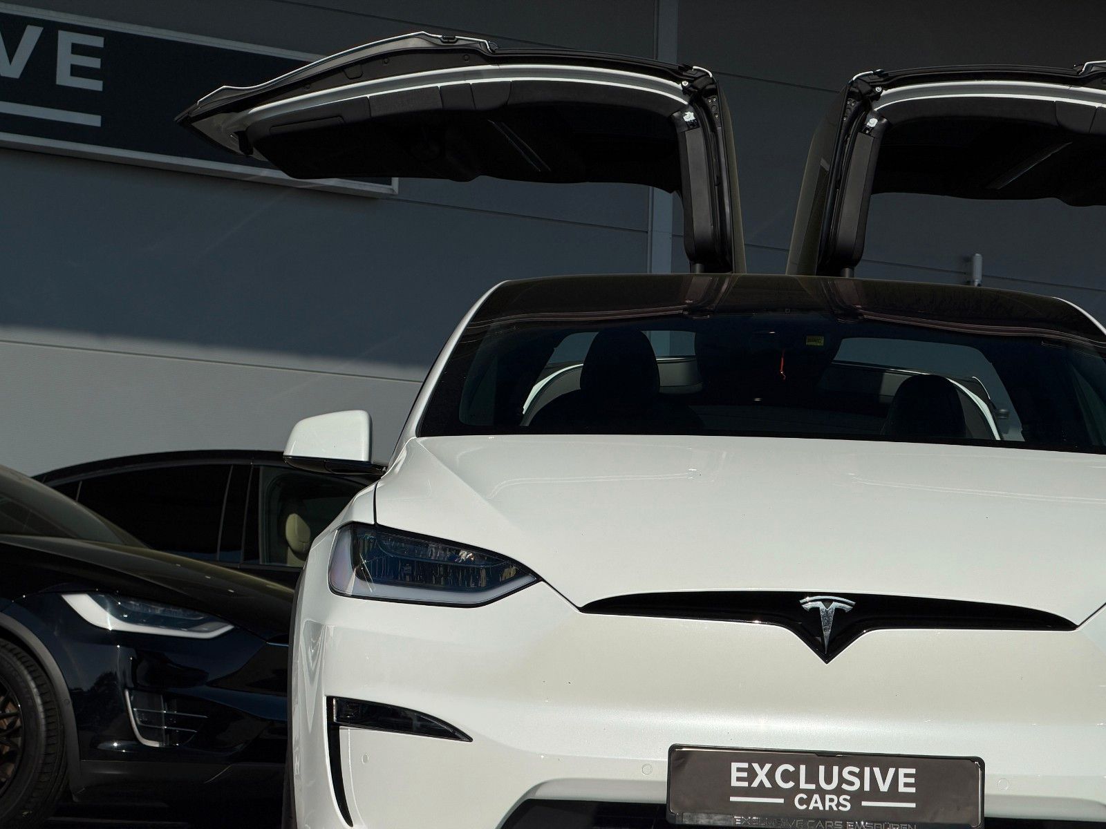 Tesla MODEL X PLAID | FULL SELF DRIVE | 6SEAT | 22