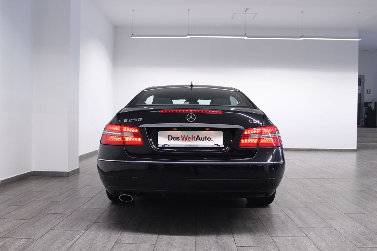Mercedes-Benz E-Class 250 CDI BlueEfficiency