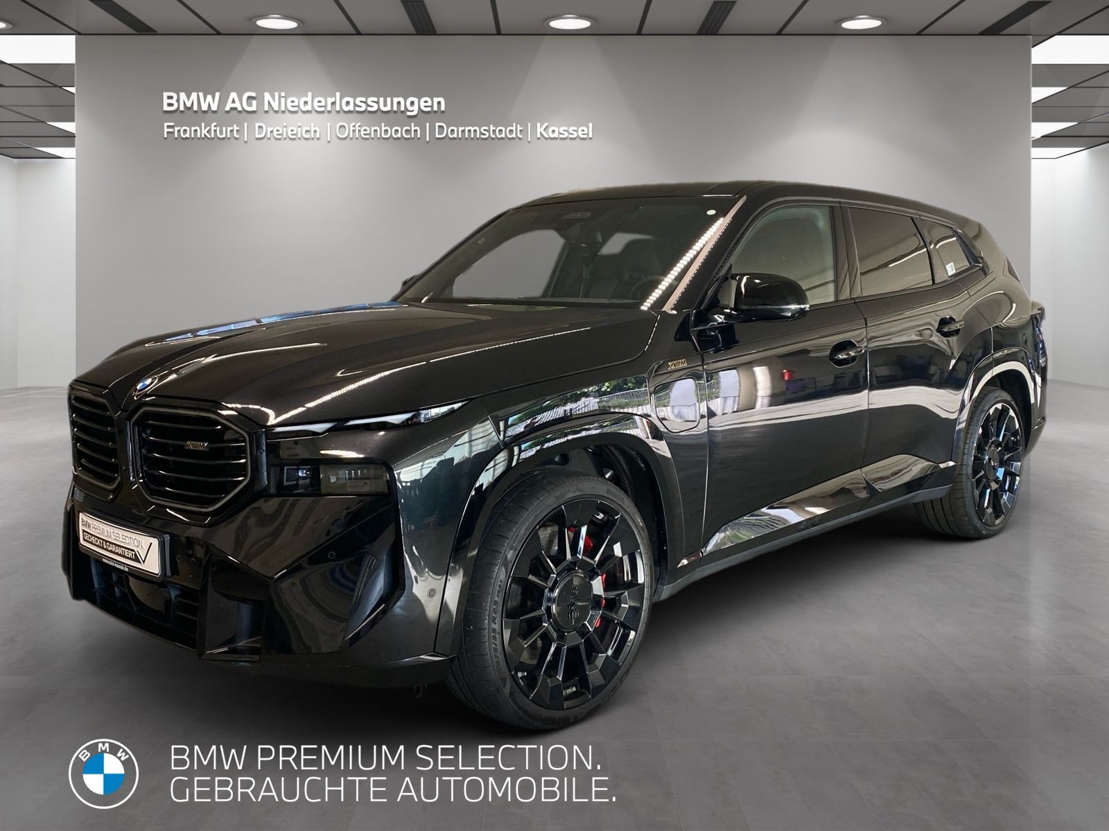 BMW XM Massage AHK Driv.Assist.Prof Harman/K Kamera