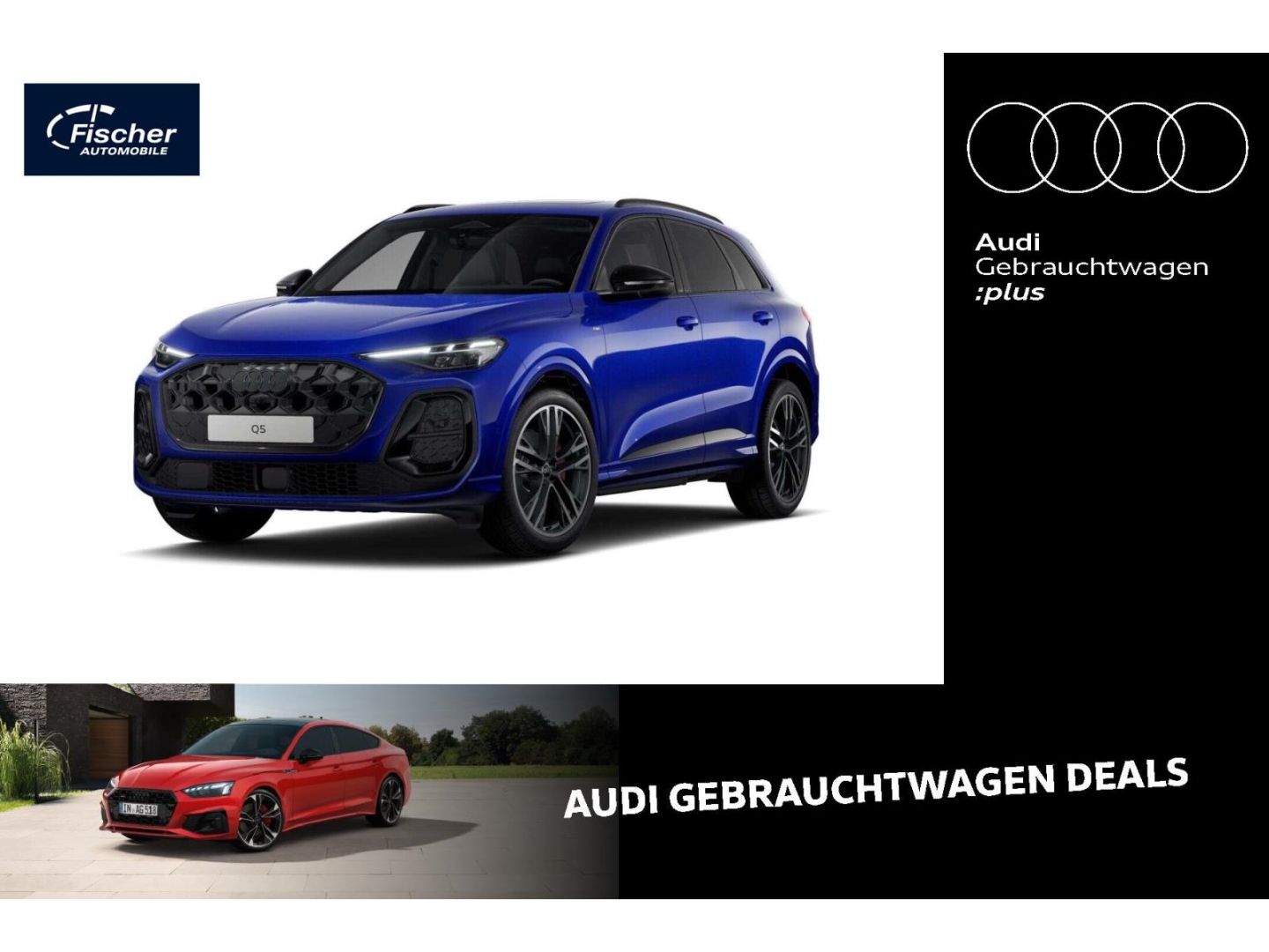 Audi Q5 TFSI quattro S line AHK/P-Dach/360/Bei.Dis.
