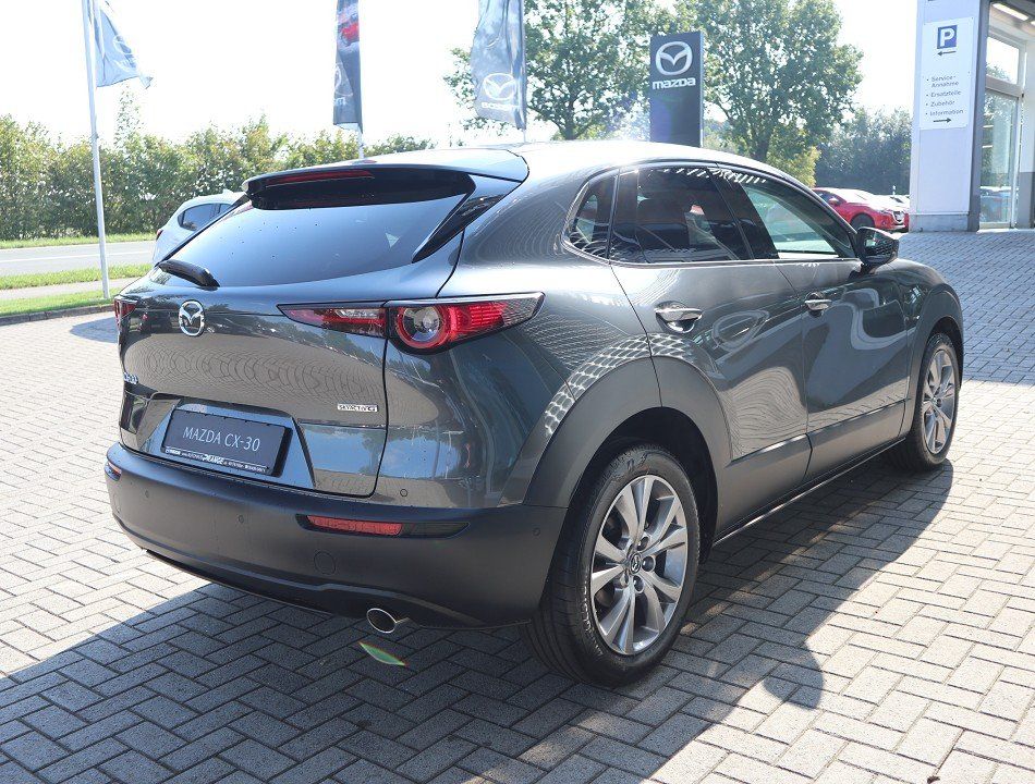 Mazda CX-30 M-Hybrid Takumi G-140 AT LEDER-S Allwetter
