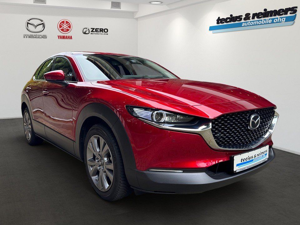 Mazda CX-30 e-SKYACTIV-G 122 AT Exclusive-L. Matrix/36