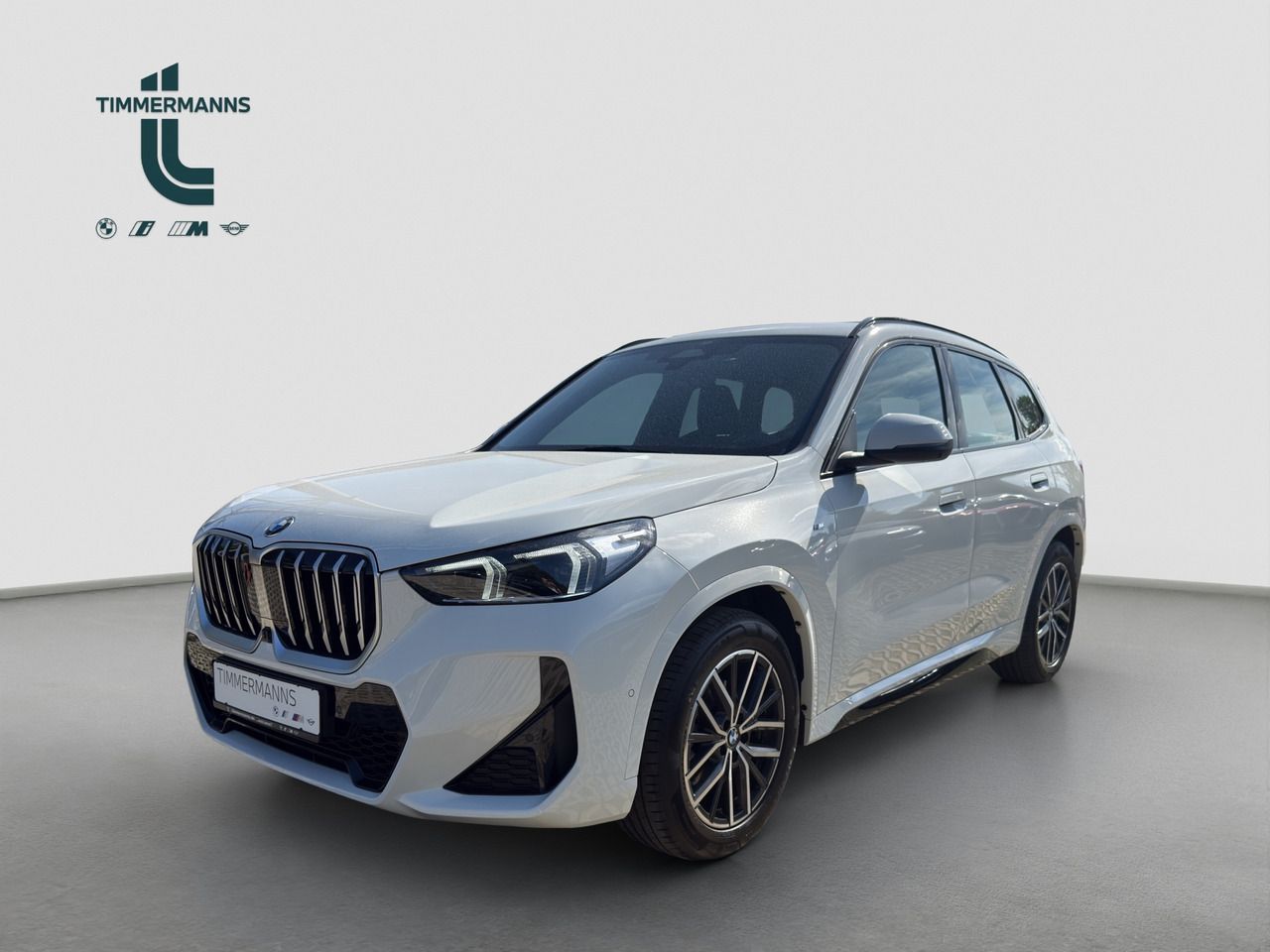 BMW X1 xDrive20d Steptronic Navi DSG Tempom.aktiv