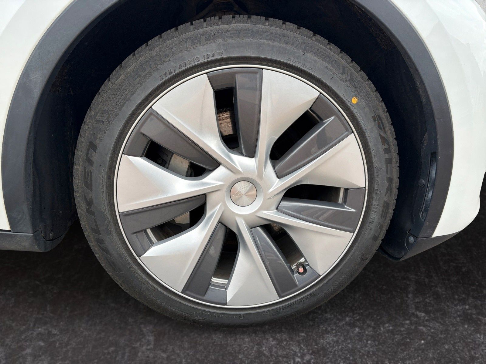 Tesla Model Y Long Range Dual AWD//AHK//ALLWETTER