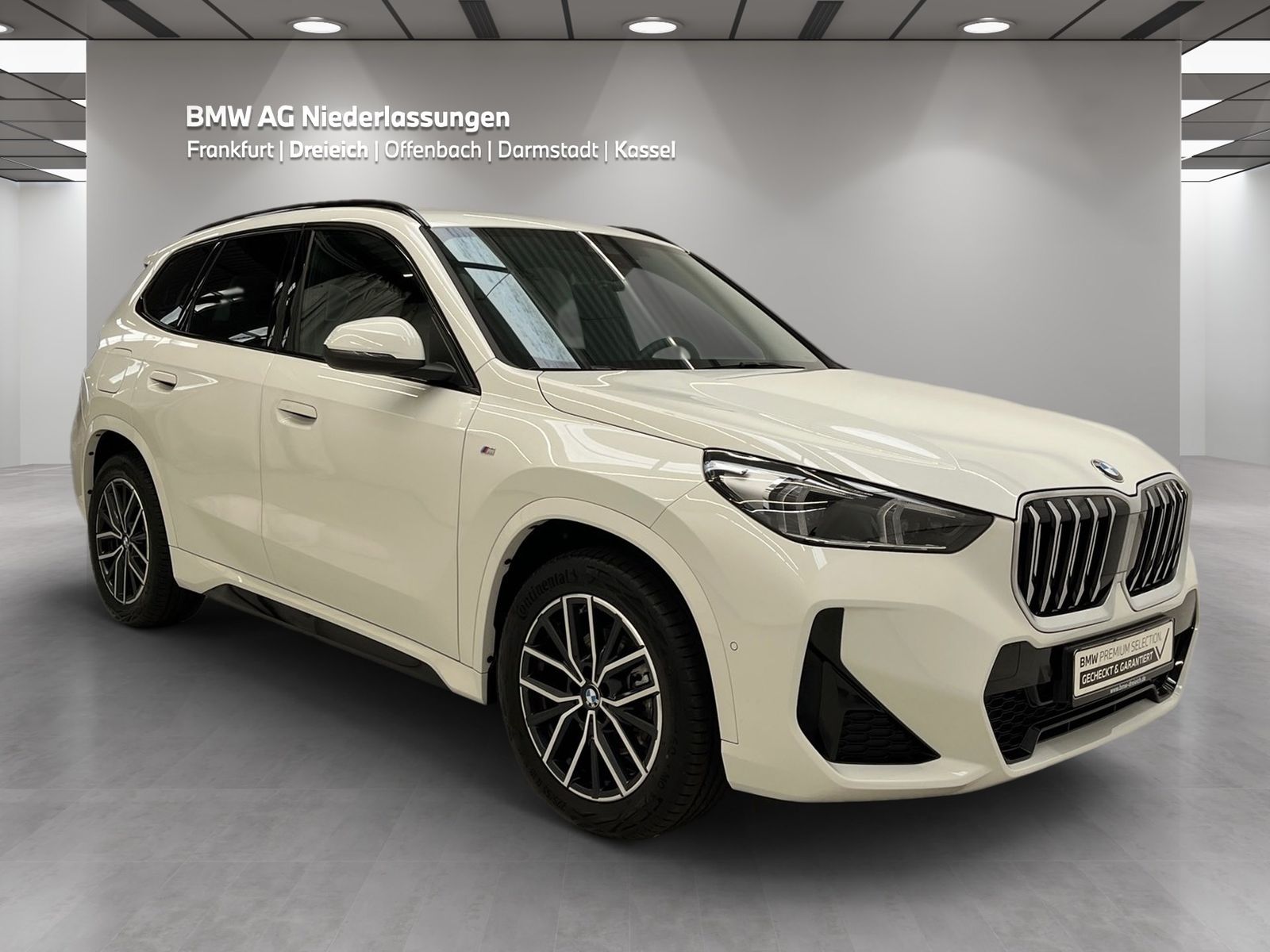 BMW X1 xDrive20d M Sport AHK Driv.Assist+ Harman/K