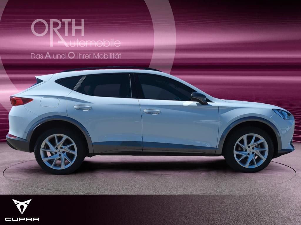 Cupra Formentor 2.0 TDI DSG 4DRIVE - Samsaru's Car Outlet