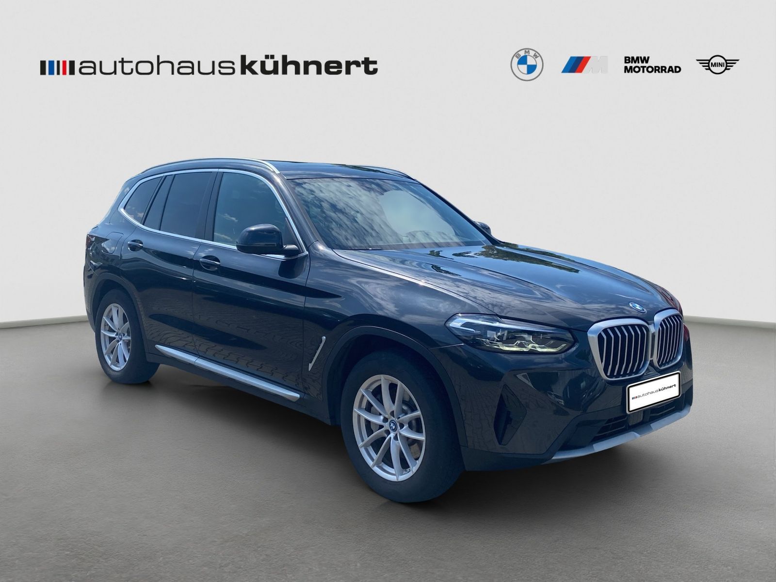 BMW X3 xDrive30e ACC PanoSD SpurAss StHzg AHK