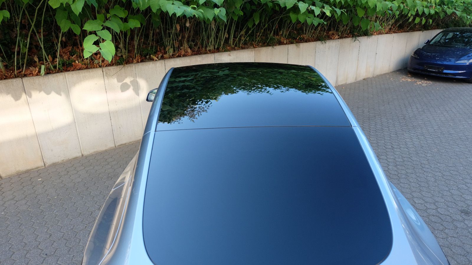 Tesla Model Y Long Range RWD,  Model 2024, Glasdach
