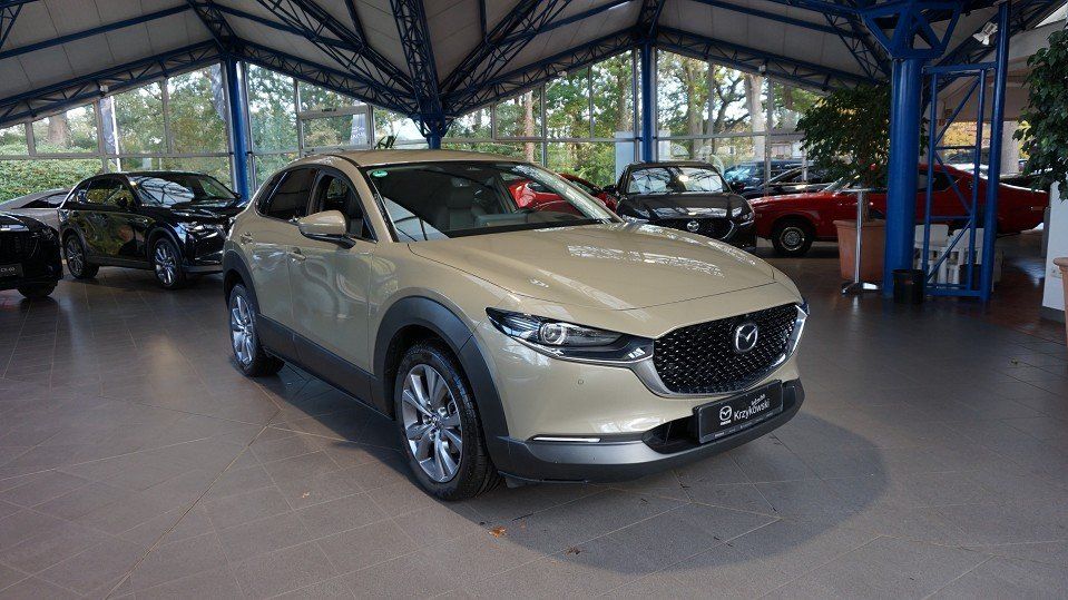 Mazda CX-30 2.5L e-SKYACTIV 140ps 6AT FWD Takumi BLOP