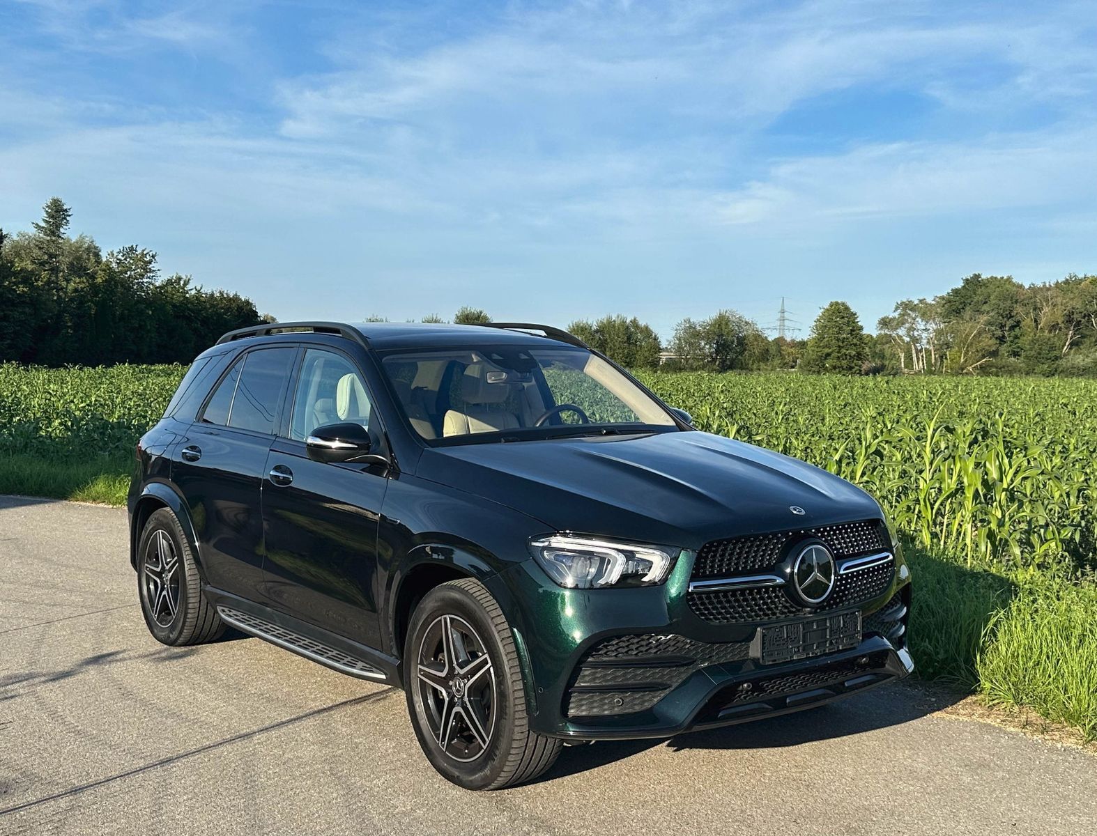 Mercedes-Benz GLE 350de NP112T€*AMG+Night*Leder beige*VIP-Fond