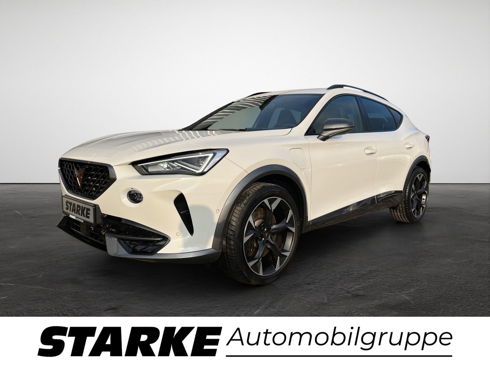 Cupra Formentor VZ 1.4 TSI eHybrid DSG  Panodach AHK N
