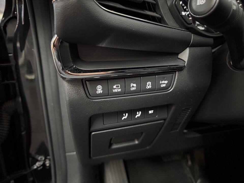 Mazda 3 SKYACTIV-G 150 Autom. Selection Leder/Bose/Mat
