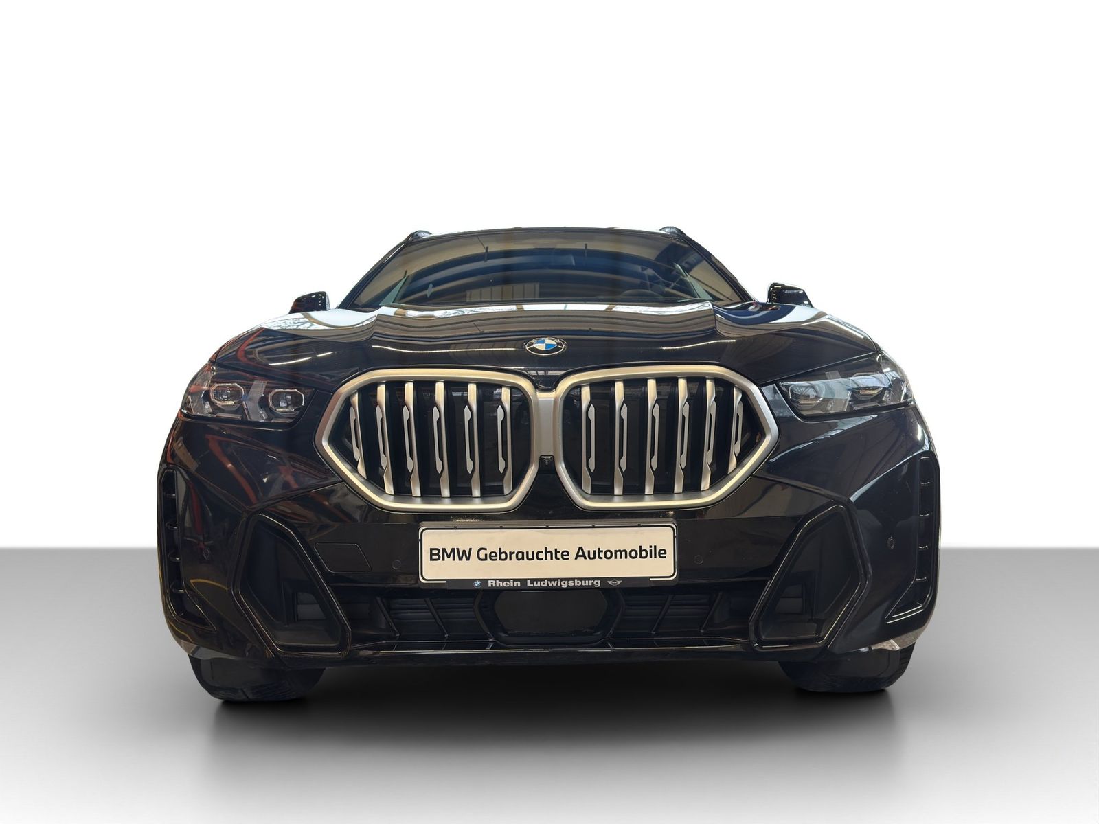 BMW X6 xDrive30d M Sport LED AHK SkyLounge HarKa
