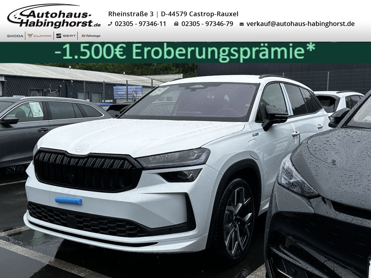 Skoda Kodiaq II 1.5 TSI iV DSG Sportline DCC AHK Matri