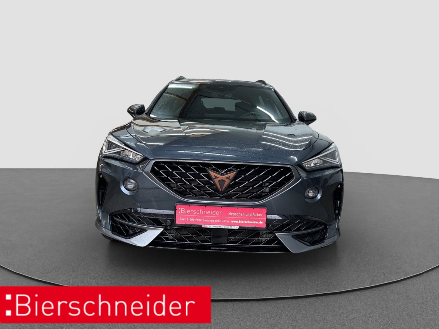 Cupra Formentor 2.0 TSI DSG 4Drive VZ ab mtl. 199,- PA