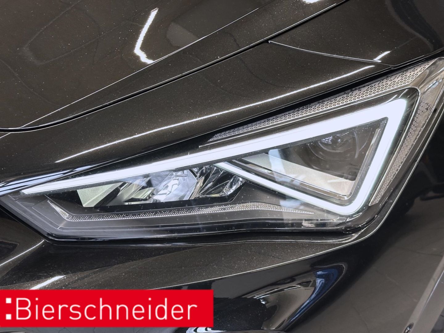 Cupra Formentor 1.4 TSI DSG e-Hybrid VZ AHK PANO REAR