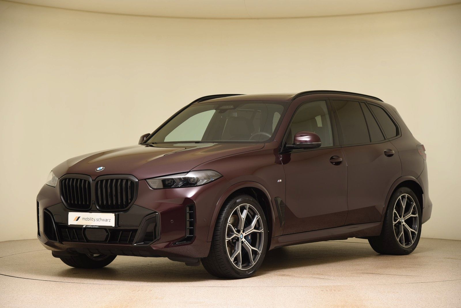 BMW X5 xDrive30d M Sport Pro ACC LED StandHzg Pano