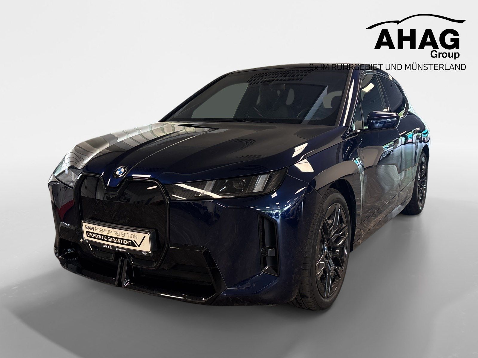 BMW iX xDrive45 M Sport Pro H/K HUD ACC 360° 4xSHZ L