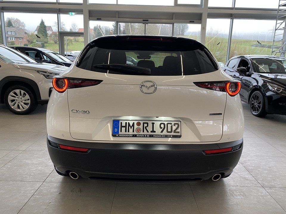 Mazda CX-30 2.5 Homura AUTOMATIK LED, Qi, Log-in, Head