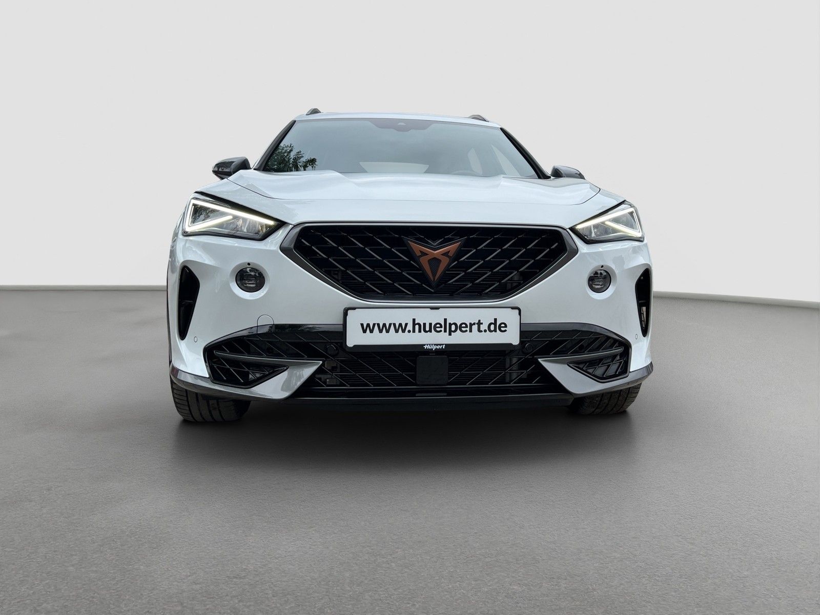 Cupra Formentor 2.0 VZ 4X4 LEDER PANO AHK CAM LM19 NAV