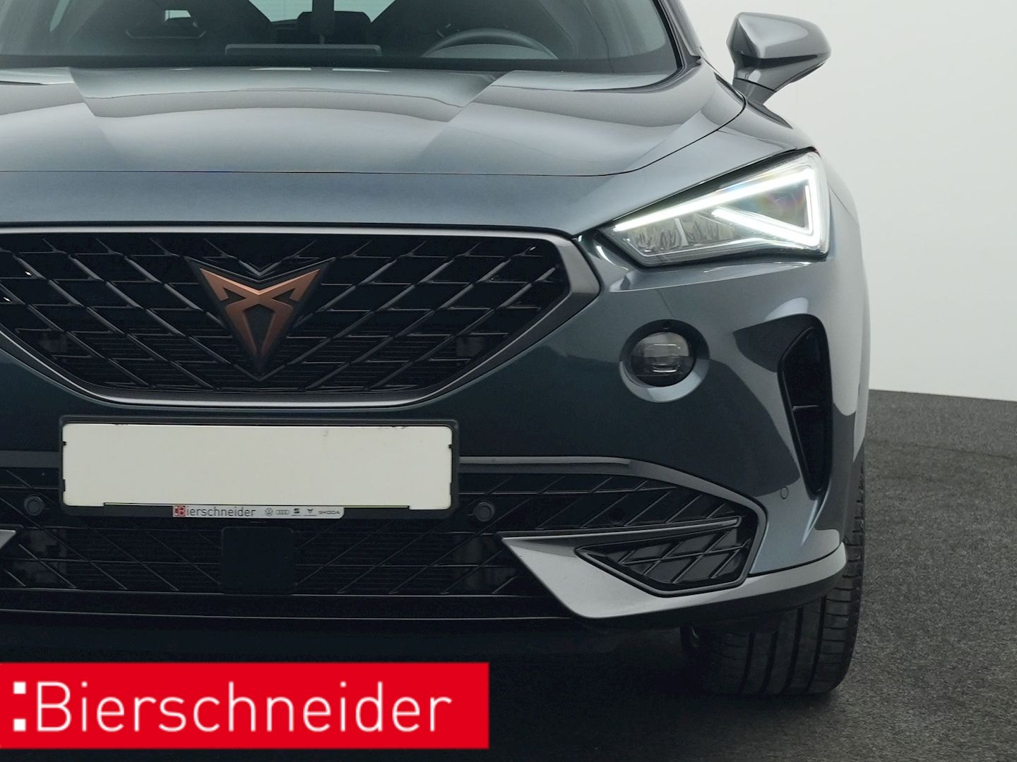 Cupra Formentor 1.4 TSI e-Hybrid DSG NAVI AHK LED ACC