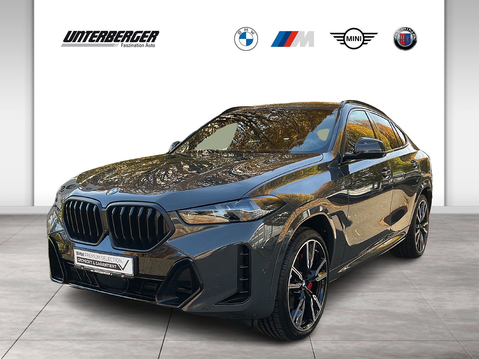 BMW X6 xDrive40d M Sport Gestiksteuerung HK HiFi