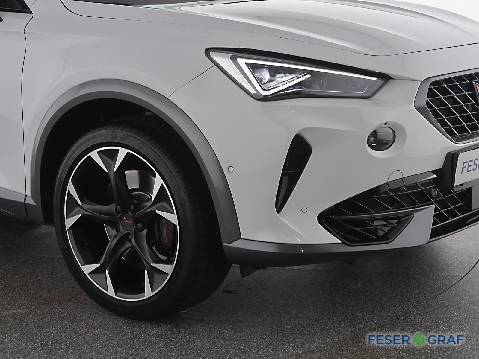 Cupra Formentor VZ 2.0 TSI 4Drive MATRIX PANO AHK NAVI