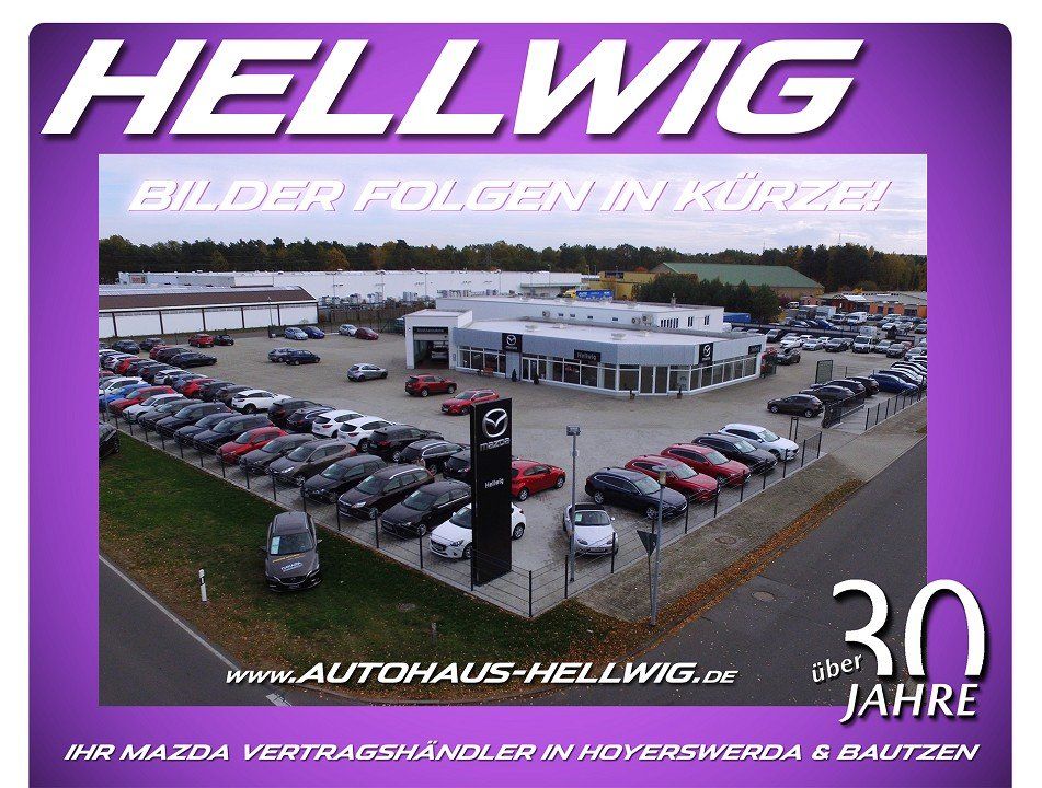 Mazda CX-60 2.5l PHEV AWD Homura alle Pakete AHK 360°