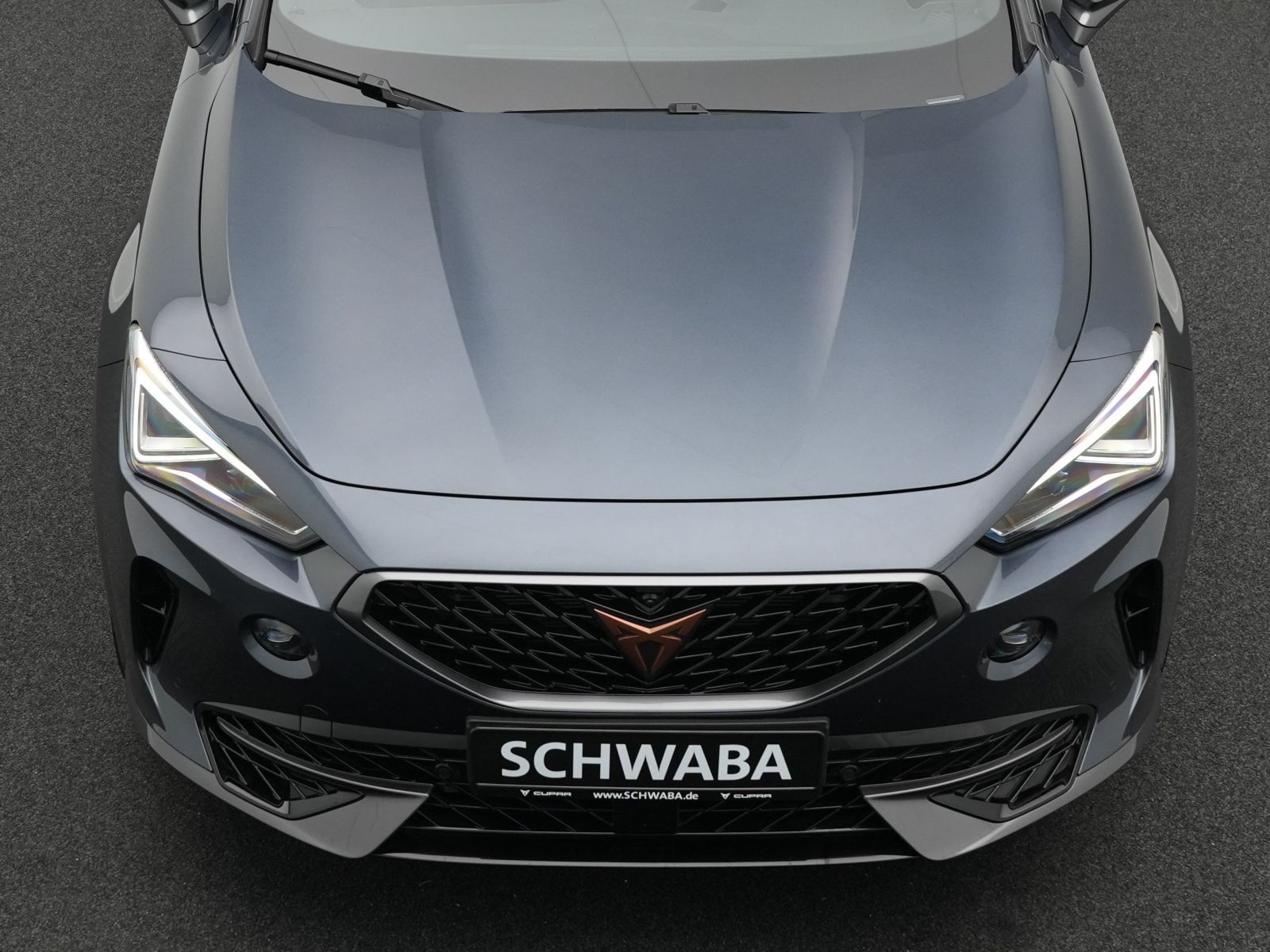 Cupra Formentor VZ 2.0 TSI 4Drive DSG *ACC*AHK*PANO*19